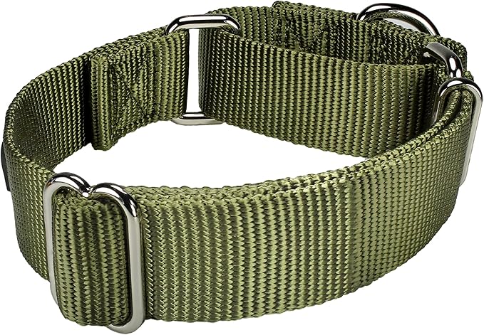 Mikivery Martingale Dog Collar Nylon Adjustable and Safety Training Colourful Comfortable Metal Buckle Pet Collars for Small Medium and Large Dogs(Military Green,L)