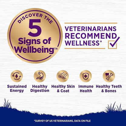 Wellness Complete Health Large Breed Adult Dry Dog Food, Wholesome Grain Kibble, Natural, Chicken and Brown Rice Recipe, 15 lb Bag