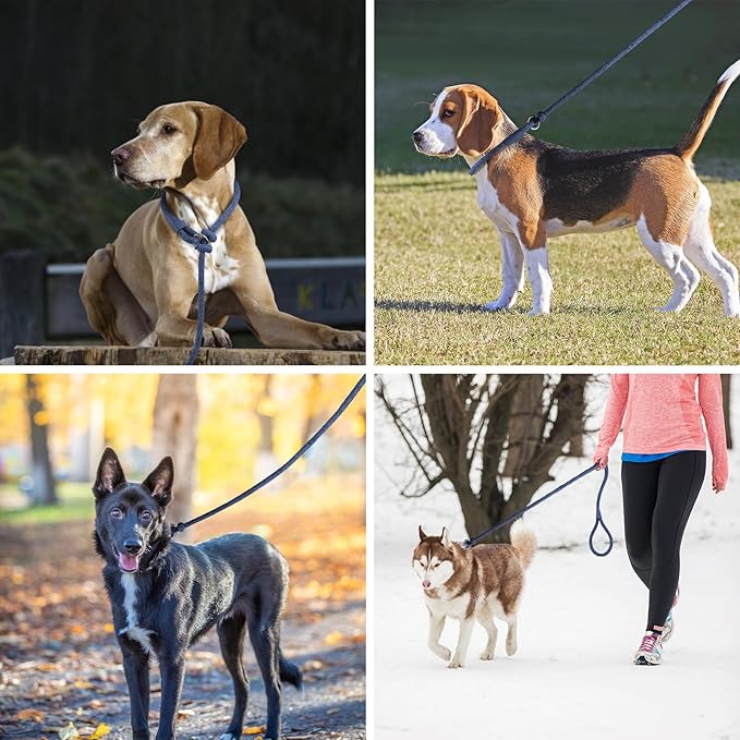 Lynxking Dog Leash Slip Lead Reflective Breathable Rope Comfortable Strong No Pull Slip On Pet Training Lead for Dogs (Pack of 2)