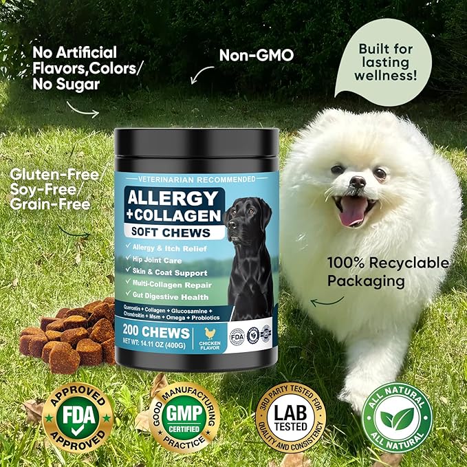 Dog Allergy Chews is Collagen Omega 3 Human Anti Itch Relief for Dogs Multivitamin Itching Skin Relief and Aller Immune Pet Allergy Chews Coat Licking Supplement Pills Meds Treats 200 Bites for Dogs