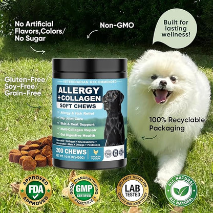 Dog Allergy Chews is Collagen Omega 3 Human Anti Itch Relief for Dogs Multivitamin Itching Skin Relief and Aller Immune Pet Allergy Chews Coat Licking Supplement Pills Meds Treats 200 Bites for Dogs