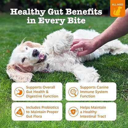 Zesty Paws Probiotics for Dogs, Digestive Enzymes Gut Flora, Digestive Health, Diarrhea & Bowel Support, DE111, Dog Probiotics Soft Chew for Pet Immune System, Chicken, 50 Ct (Pack of 2)