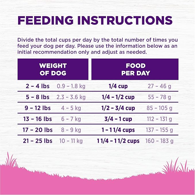 Wellness Complete Health Toy Breed Adult Dry Dog Food, Wholesome Grain Kibble, Natural, Chicken, Brown Rice, and Peas Recipe, 4 lb Bag