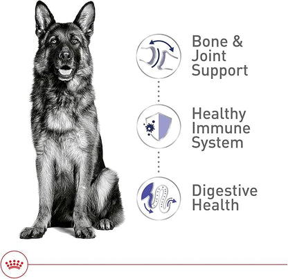 Royal Canin Size Health Nutrition Large Adult Dry Dog Food, 30 lb Bag