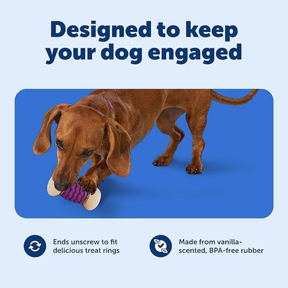 PetSafe Busy Buddy Nobbly Nubbly Treat Holding Dog Toy – Strong Chewers – Challenging - Treat Rings Included - Large