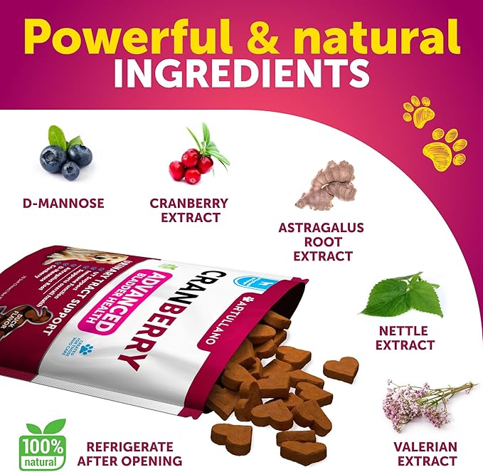 Dog UT Treats - Cranberry Chews for Dogs - Urinary Tract & Bladder Support Supplement with Natural Cranberry Extract - Tasty 70 Soft Bites for Daily Wellness with Fish Oil, Pumpkin, D-Mannose