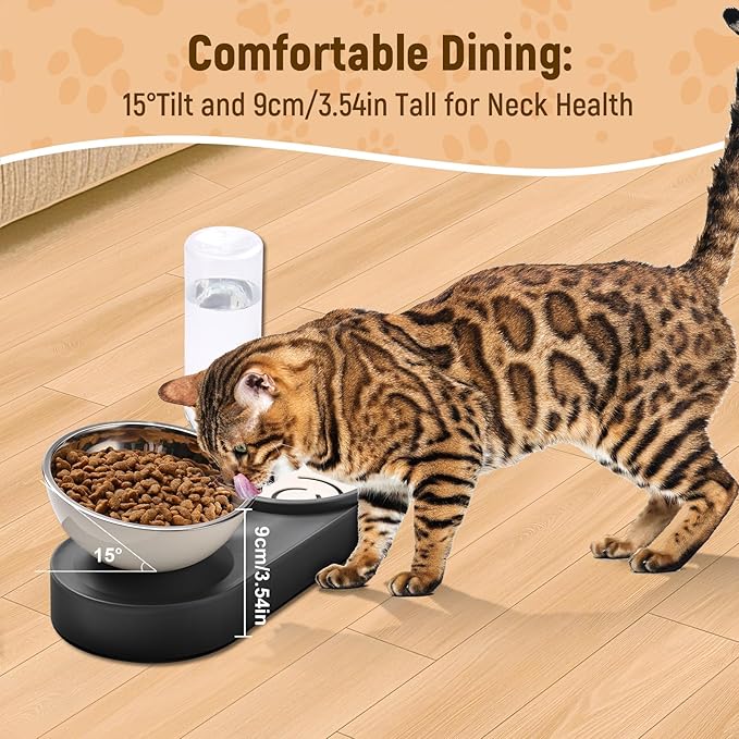 Marchul Stainless Steel Dog Cat Bowls, 15° Tilted Elevated Cat Food and Water Bowl Set with 500ml Gravity Bottle for Small Medium Pets, Leak-Proof