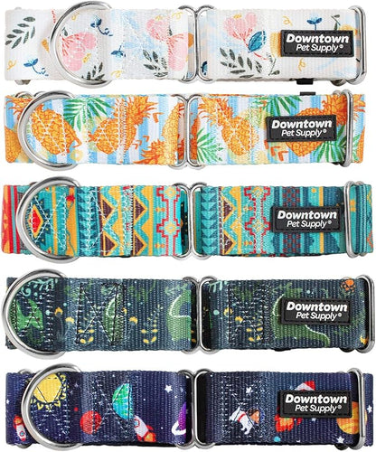 Downtown Pet Supply - Martingale Collar for Dogs - Dog Training Collar - Big, Wide & Thick Dog Collar - Escape-Proof, Weatherproof, Durable and Comfortable - Dino - Large Dog Collar