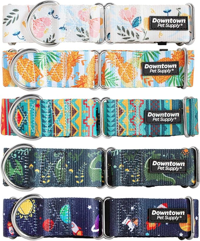 Downtown Pet Supply Big and Wide Durable Martingale Training Collars for Dogs and Puppy in Small,Medium,Large,and Extra Large Dog Collar (Pineapple),X-Large: 18.5 inch-34