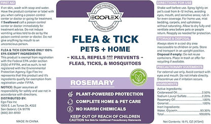 Flea Spray for Home & Pets - Flea and Tick Prevention for Dogs - Plant Based Repellent with Natural Essential Oils for Dog Flea Treatment Protection - Rosemary Scent - 16 Fl Oz