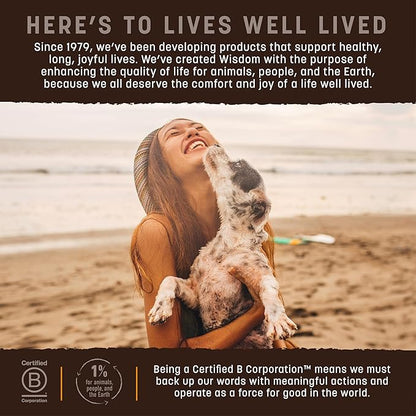 Earth Animal Wisdom Air Dried Jerky - Chicken Recipe Premium Natural Jerky Strips Dog Treats - 3 Pack 4 oz Bag