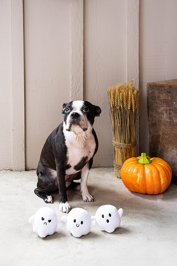Pearhead Halloween Ghost Dog Toy Set, Plush Squeaky Pet Chew Toys for Dogs, Durable Soft Plush Fabric, Interactive Multi-Pack Value Gift for Puppies and Small to Medium Breeds