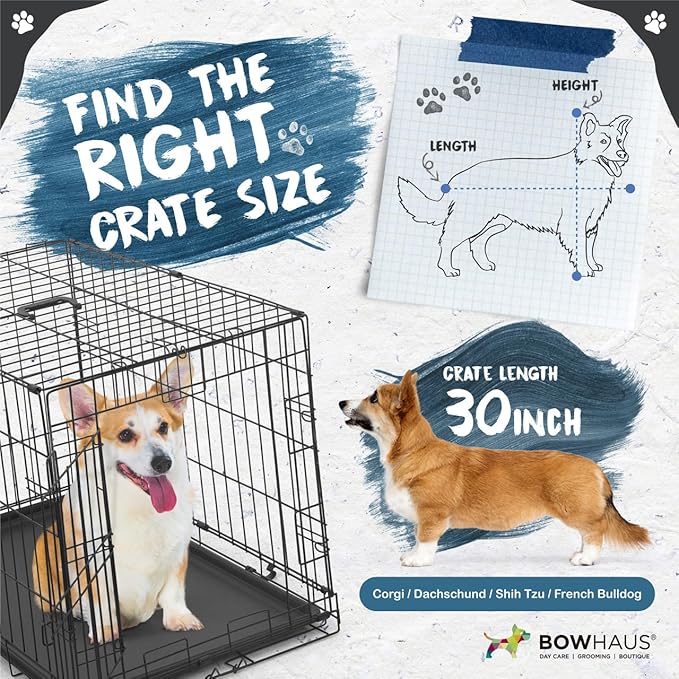 CAPHAUS Foldable Dog Crate Wire Metal Dog Kennel w/Divider Panel, Leak-Proof Pan & Protecting Feet, Single & Double Door, Small, Medium & Large Dog Crate Indoor Wire Dog Cage, 30” w/Easy-Flick Lock