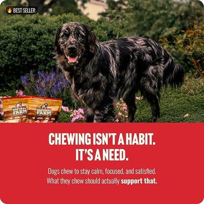 Natural Farm Odor Free Bully Sticks (4 Inch, 25 Pack) for Small & Medium Dogs - 100% Beef Chews for Pups, Non-GMO, Grain-Free, Fully Digestible Long Lasting Dog Treats