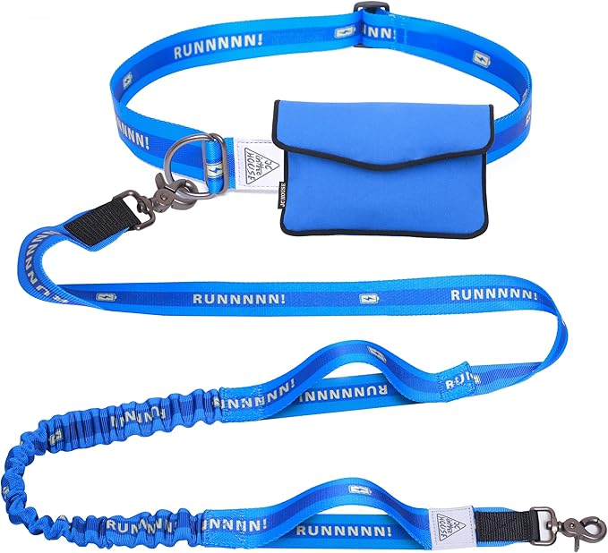 Hands Free Dog Leash, Heavy Duty with Waist Belt & Storage Pouch, Strong Pull Control, Two Handles Bungee for Running & Walking, Big & Medium Dogs, Blue