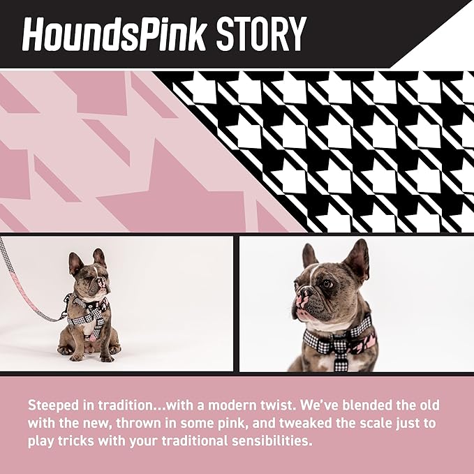 Wolfgang Heavy Duty Dog Leash, Pull-Tested for Walking & Training, HoundsPink Print, Small