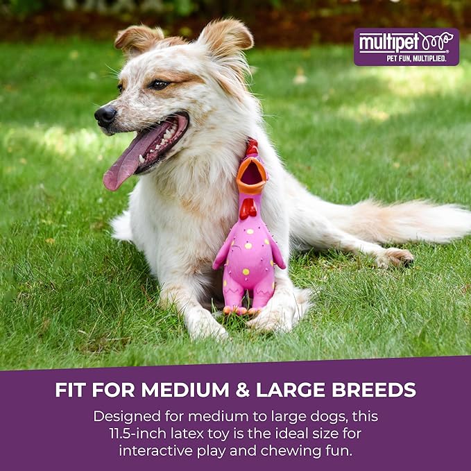 Multipet Polka Dot Globken Chicken Latex Dog Toy - Squeaky Toy for All Dogs - Easy-to-Clean Squeaky Toys - Latex Dog Toys for Playing (1 Count, 11.5”, Random Color Surprise)