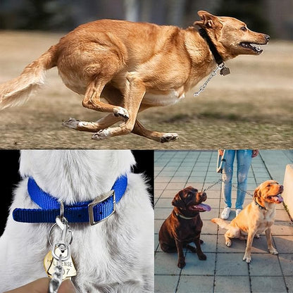Dog Collar Safety Clip Metal Clasp Double Ended Connector 2 Pack Prong Chew Proof Backup Dog Clip for Pet Harness Collar Leash Necklaces Dog Strap Lead Carabiner Heavy-Duty Chain 8 inch