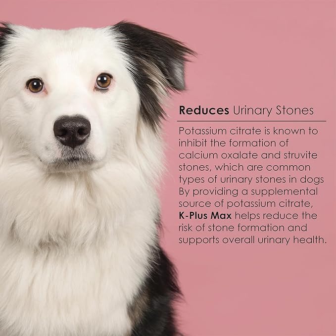 Urinary Tract Health Soft Chews for Dogs – Cranberry + DL-Methionine + Potassium Citrate – Supports Bladder & Kidney, pH Balance, UTI & Bladder Stone Prevention – Made in USA - 90 Easy-to-Feed Chews