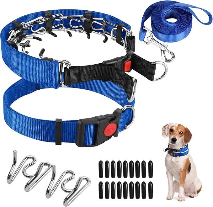 Prong Training Collar with Comfort Tips and Quick Release Snap Buckle - Dog Choke Pinch Collar with Nylon Cover