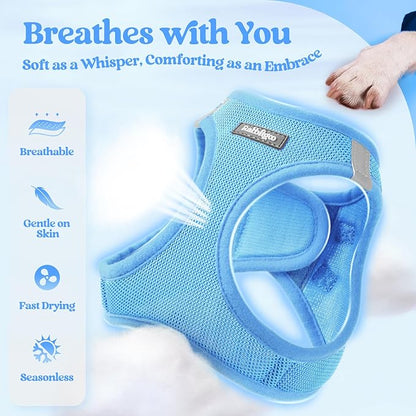 rabbitgoo Dog Harness Small Sized and Leash Set, Step in Soft Light Puppy Vest, Breathable Mesh Pet Harness, Reflective for Safe Easy Walking, Blue XS