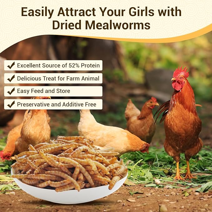 Dried Mealworms, High-Protein Bulk Mealworms 22Lbs, 100% Non-GMO Mealworm Treats for Birds, Chickens, Turtles, Fish, Hamsters and Hedgehogs All Natural Animal Feed