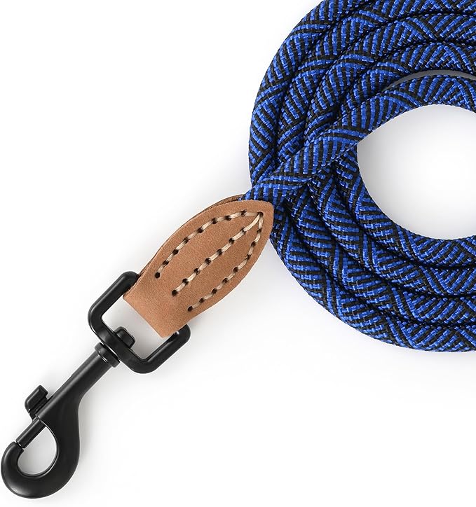 Mile High Life Small Dog Leash, Thin Rope Leash with Genuine Leather Connection and Heavy Duty Metal Clasp, Great for Small Medium Dogs(Blue,48 Inch-1/3)