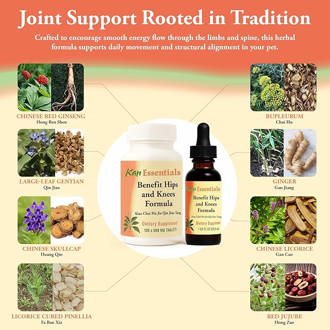 Kan Herb Company Benefit Hips and Knees Formula – Traditional Chinese Herbal Blend for Dogs and Cats to Support Joint Comfort, Mobility, & Digestive Balance, Liquid Herbal Supplement for Pets, 1 fl oz