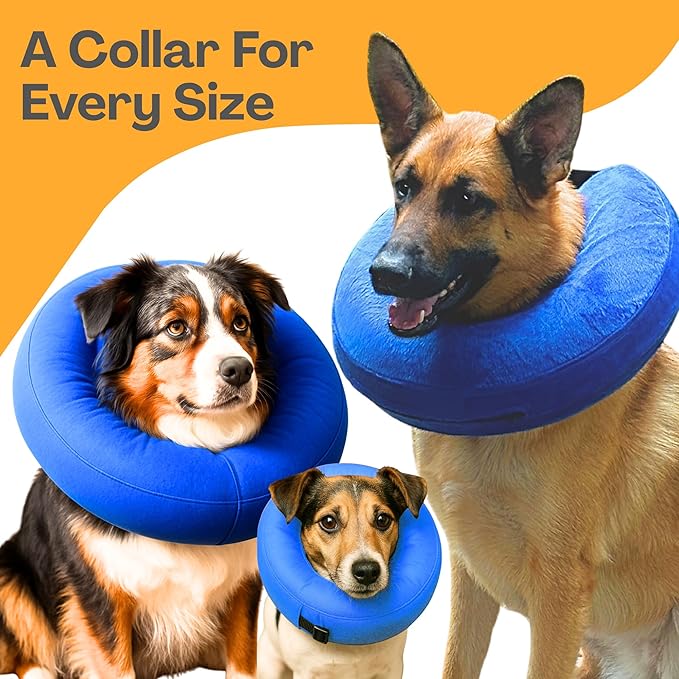 Iconikal Inflatable Dog Recovery Collar Small Blue 8-12 Inch Neck Adjustable Soft Donut E-Cone Alternative Post Surgery Injury Healing Protective