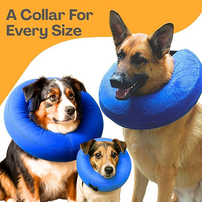 Iconikal Inflatable Dog Recovery Collar Small Blue 8-12 Inch Neck Adjustable Soft Donut E-Cone Alternative Post Surgery Injury Healing Protective