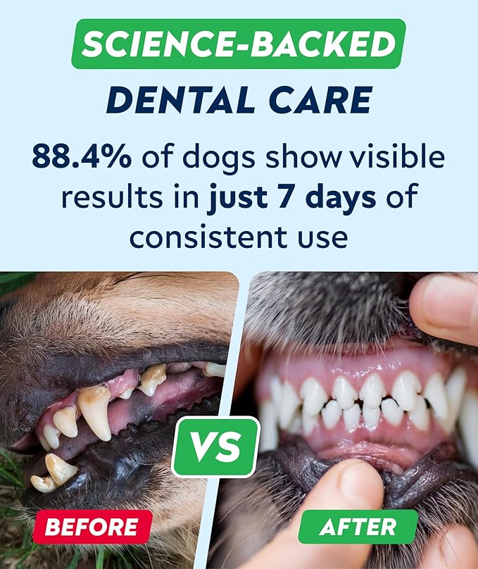 STRELLALAB Advanced Dog Dental Chews & Breath Freshener – Dog Teeth Cleaning Treats, Bad Breath Control, Plaque & Tartar Off, Pet Oral Care, Pro Perio Support, Lab Co Bright Formula – 90 Treats