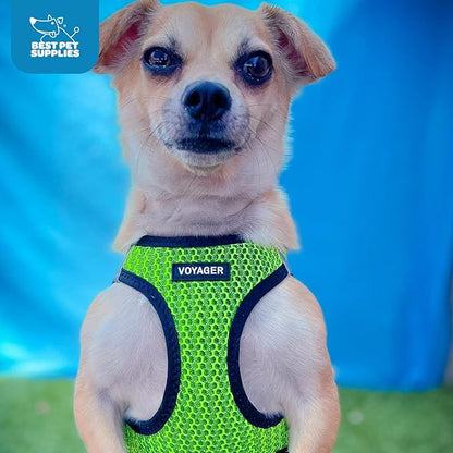 Best Pet Supplies Voyager Step-in Air Harness - All Weather Mesh, Reflective, No Pull Harness for Dogs, Cats - Secure with Hook & Loop Fastener, Buckle, Double D-Rings - Lime Green 2-Tone, S