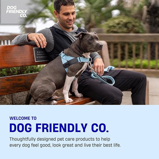 Dog Friendly Co. Bungee Dog Leash | Strain Free & Shock Resistant for Control | Neoprene Padded Handle, Heavy-Duty Carabiner Clip, and D-Ring | Neon Green, Size Regular
