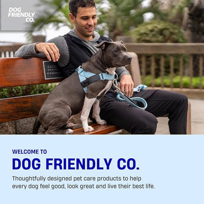 Dog Friendly Co. Bungee Dog Leash | Strain Free & Shock Resistant for Control | Neoprene Padded Handle, Heavy-Duty Carabiner Clip, and D-Ring | Sky Blue, Size Regular