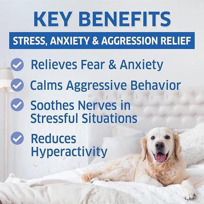 Hemp Calming Chews for Dogs - Natural Dog Anxiety Relief Treats - Separation, Stress, Barking, Thunderstorms, Lightning - 120 Treats