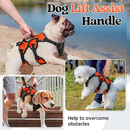 rabbitgoo Escape Proof Dog Harness, Soft Padded Full Body Pet Harness, Reflective Adjustable No Pull Vest with Lift Handle and Lesh Clip for Large Dogs Walking Hiking Training, S, Orange