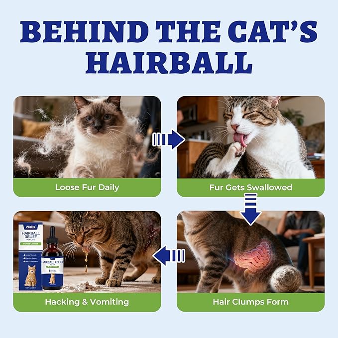 Wellix 120ml Cat Hairball Remedy Drops, Hairball Treatment & Relief for Cats, Natural Cat Furball Control Treats with Psyllium Husk, Omega 3, Support Skin & Coat, Digestive Health-Chicken Flavor