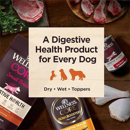 Wellness CORE Digestive Health Adult Dry Dog Food, Wholesome Grain Kibble, Sensitive Stomach, Natural, High Protein, Chicken Free, Whitefish and Brown Rice Recipe, 22 lb Bag