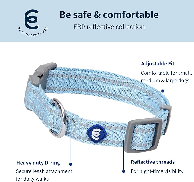 Blueberry Pet Essentials Reflective Dog Collar & Leash Set, Adjustable for Large Dogs | Safe Walking Gear for Pet Parents, Puppy Training & Daily Use LargeDogs, Baby Blue