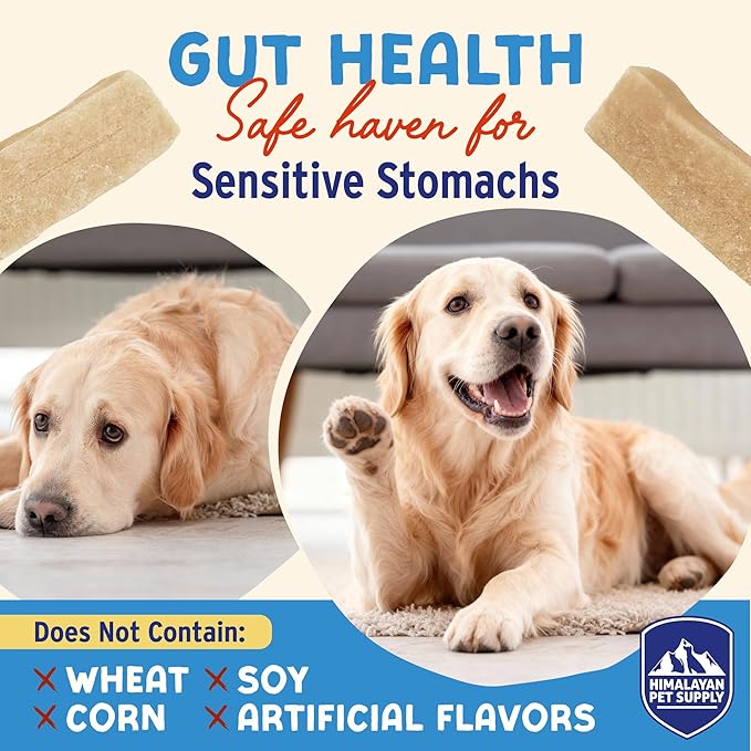 Himalayan Dog Chew Strawberry Honey Yogurt Sticks for Dogs | Protein-Rich Treats with Prebiotics & Probiotics | Lactose-Free, Grain-Free, Gluten-Free | Healthy Yogurt Chews for All Breeds | 5 Count