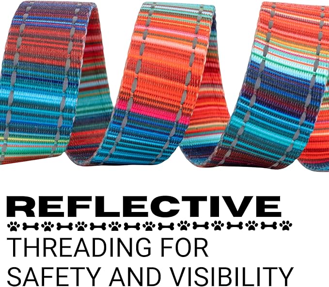 EcoBark Dog Leash - Soft & Reflective Comfort Leash with Padded Handle - Safe, Strong, & Durable for Small, Medium or Large Dogs (Multicolor Stripe)