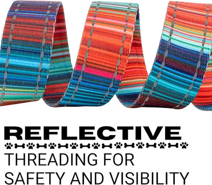 EcoBark Dog Leash - Soft & Reflective Comfort Leash with Padded Handle - Safe, Strong, & Durable for Small, Medium or Large Dogs (Multicolor Stripe)