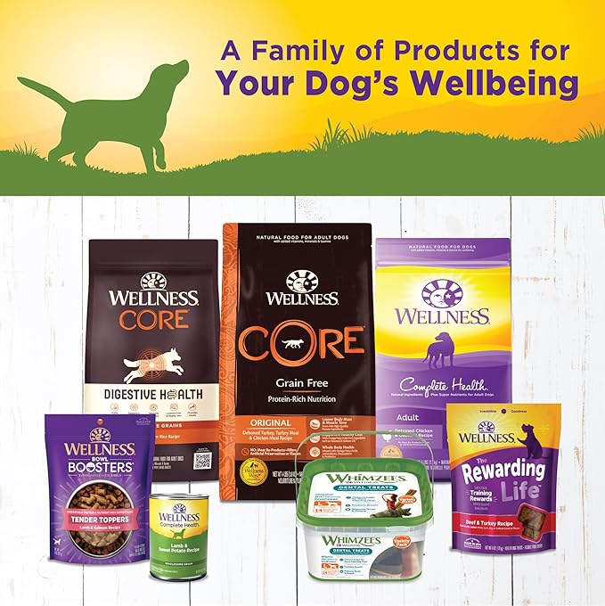 Wellness Complete Health Pate Adult Canned Wet Dog Food, Wholesome Grains, Natural, Lamb and Sweet Potato, 12.5 oz, Pack of 12 Cans