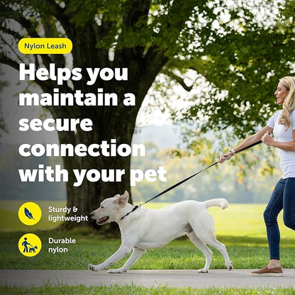 PetSafe Nylon Leash - Helps Maintain Secure Connection on Walks - Durable Pet Leash with Easy Clip - 3/4 in. x 6 ft. - Deep Purple