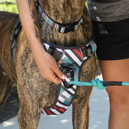 Embark Adventure XL Dog Harness – No-Pull, Reflective Trim, Military-Grade Nylon, Dual Leash Clips, Gel-Lined Handle for Extra Large Dogs