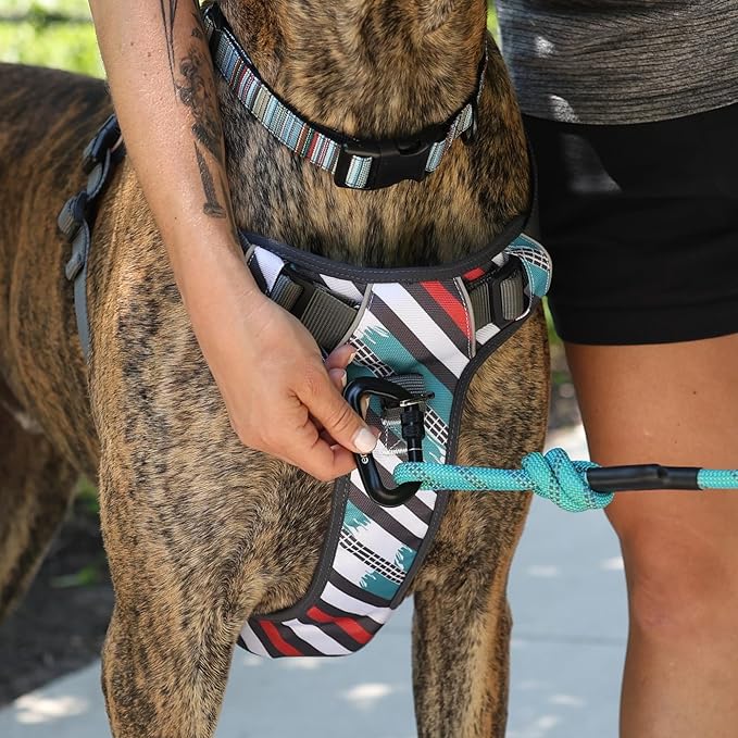 Embark Adventure Large Dog Harness – No-Pull, Reflective Trim, Military-Grade Nylon, Front Clip with Gel-Lined Handle