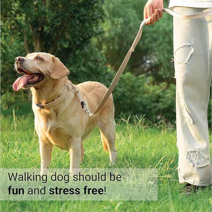 SVD.PET Dog Prong Collar for No-Pull Training, Quick-Release Buckle Adjustable Pinch Collar for Small Dogs (Tan, Small Size, Suitable Neck Girth: 7"-10")