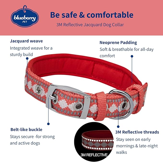 Blueberry Pet Reflective Jacquard Dog Collar with Neoprene Padding & Metal Buckle | Soft & Adjustable Safety Collar - Coral, Neck 17-20.5", for Large Breed