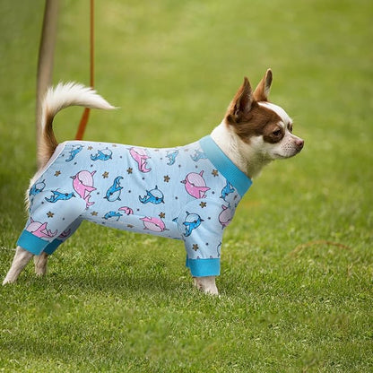 Dog Surgery Recovery Suit, Dog Onesie for Surgery Female Male Dogs, Dogs Pajamas Long Sleeve, Small Dogs Onesie, Abdominal Wound Bandages Surgical Suit, Cat Recovery Suit for Shedding Skin Disease