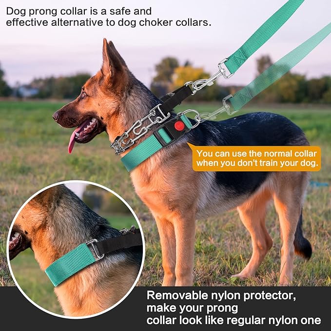 Prong Training Collar with Comfort Tips and Quick Release Snap Buckle - Classic Collar and Leash for Small to Large Dogs